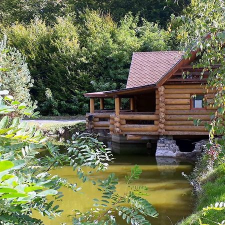 Maison d'hôtes Rancho 555 à Oujhorod Extérieur photo
